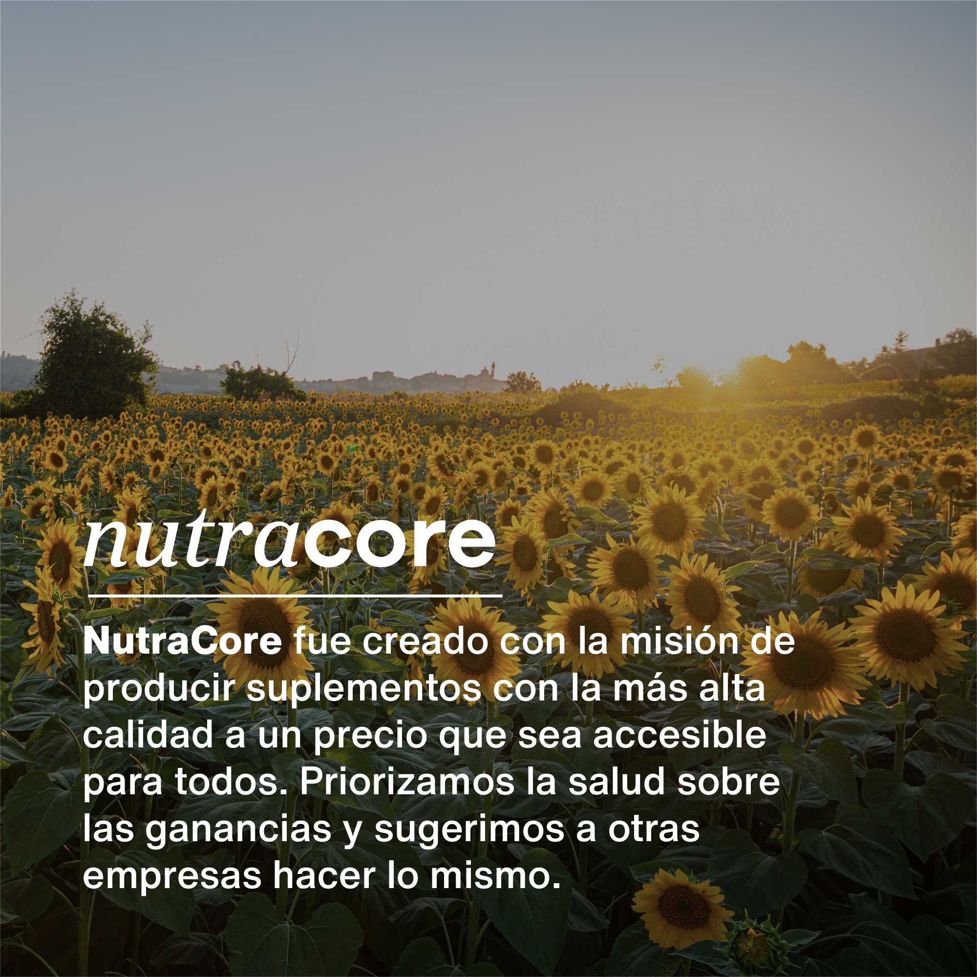 Mejor vitamina d chile