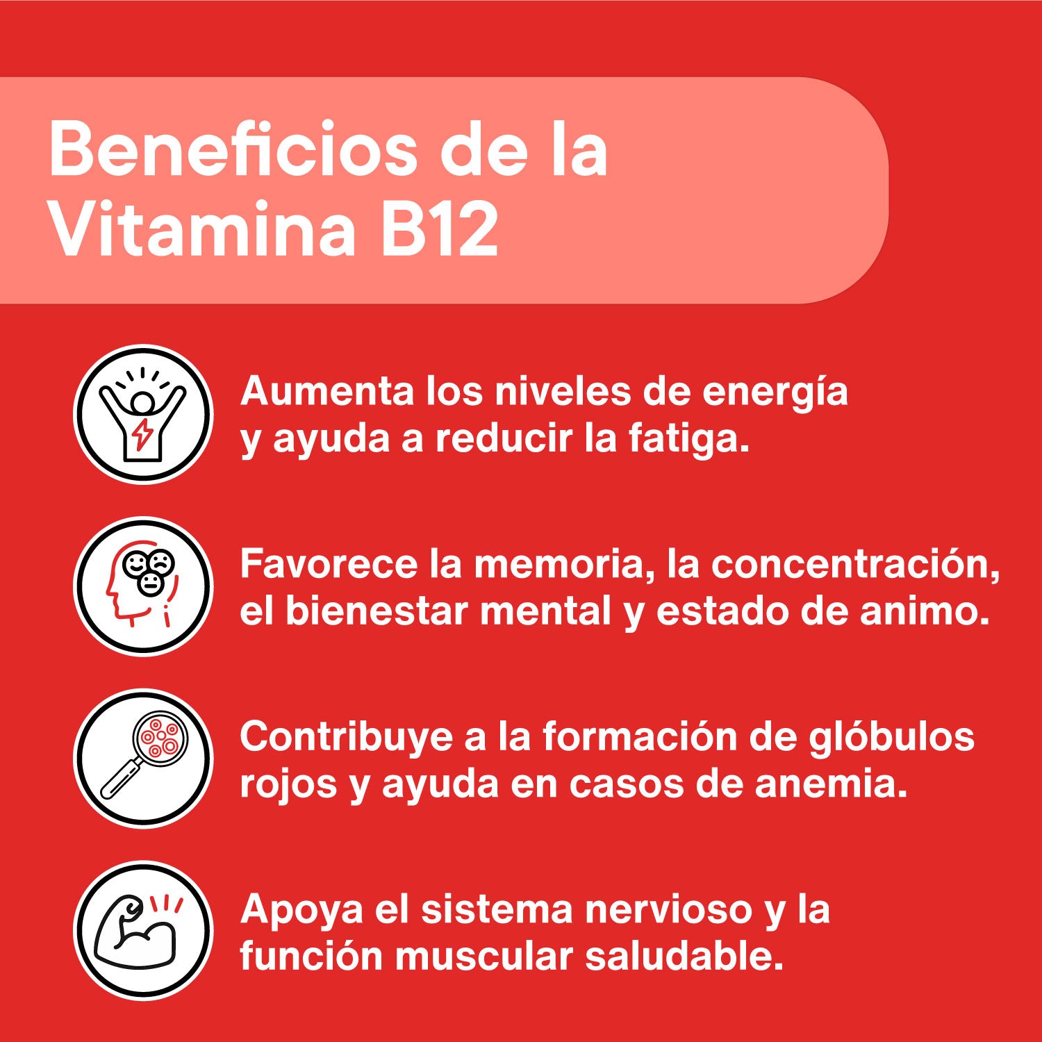 Vitamina-b12-para-que-sirve