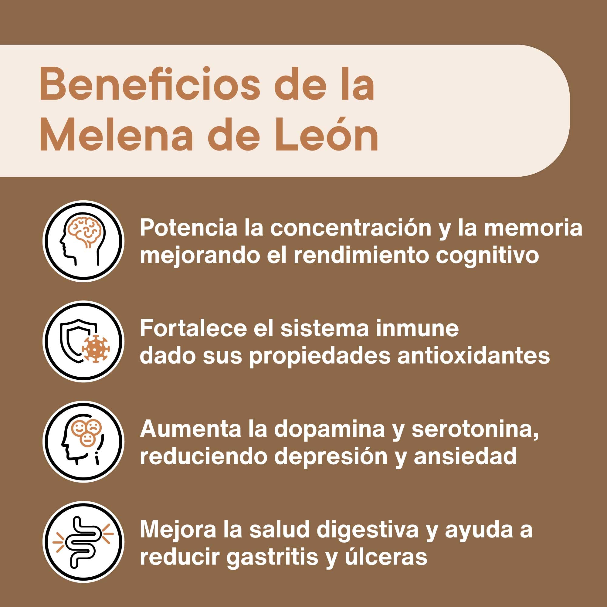 melena de león beneficios