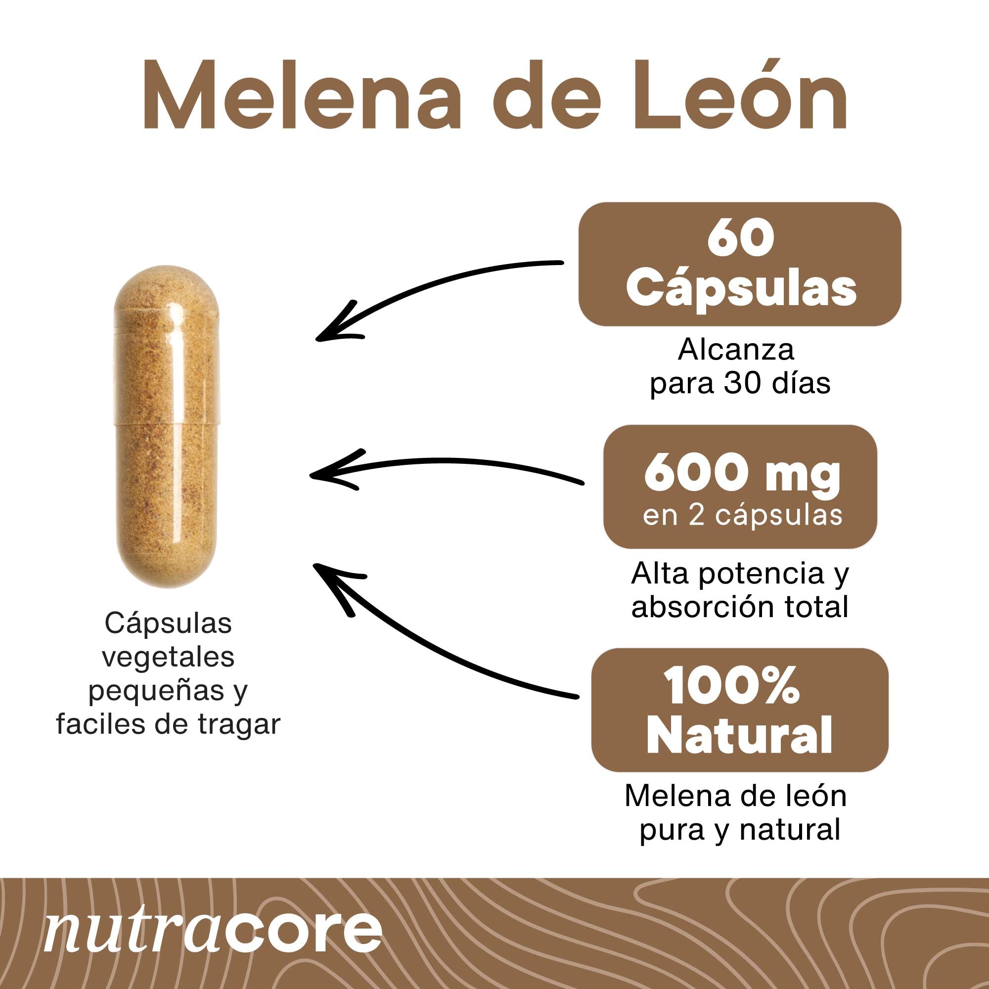 Melena-de-leon-nutracore