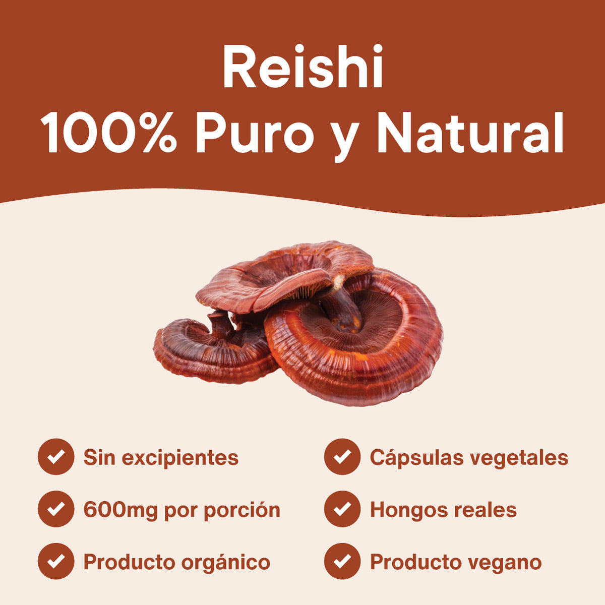 reishi-ganoderma-lucidum